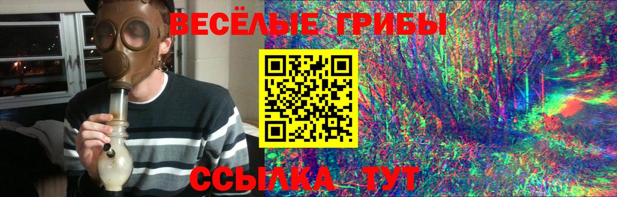 Псилоцибиновые грибы GOLDEN TEACHER Янаул